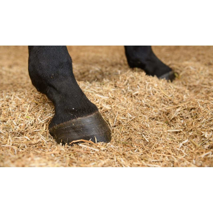 Extra Krossad rapspellets (mindre än 0,3 mm)