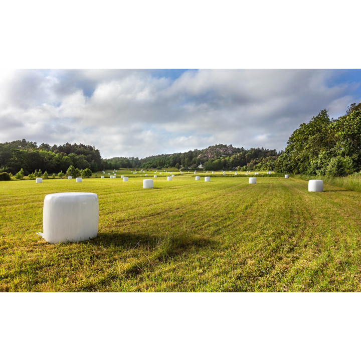 Hösilage - Minibalar (45 kg)