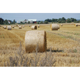 Hösilage - Stor (500 kg)